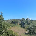 Lägenhet Apartmani Verde