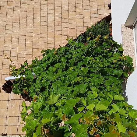 Apartmani Verde *