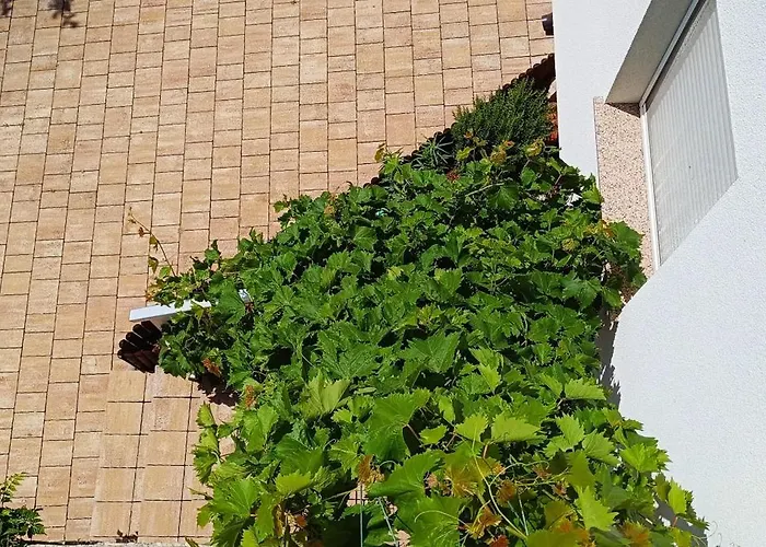 Apartmani Verde *